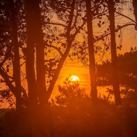 Seashell Luxury 里科索翁