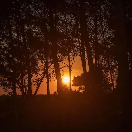 公寓 Seashell Luxury