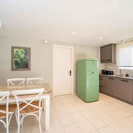 Seashell Luxury ليكسوري