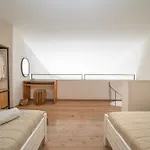 Seashell Luxury 릭수리