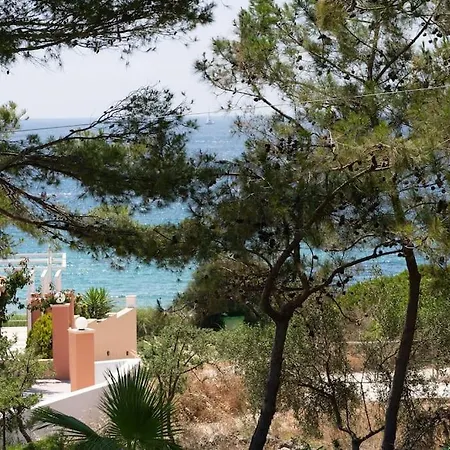 Seashell Luxury Appartement