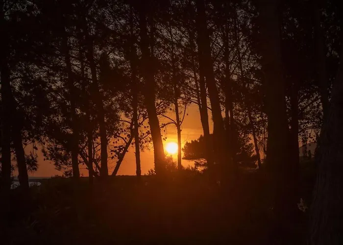 Apartman Seashell Luxury