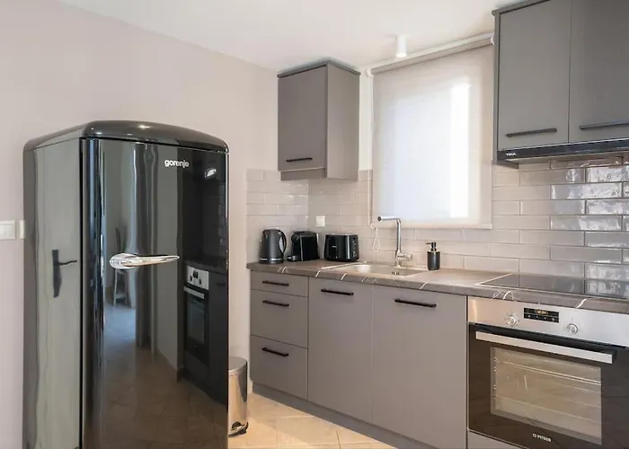 Seashell Luxury Lixúri