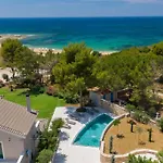 Seashell Luxury